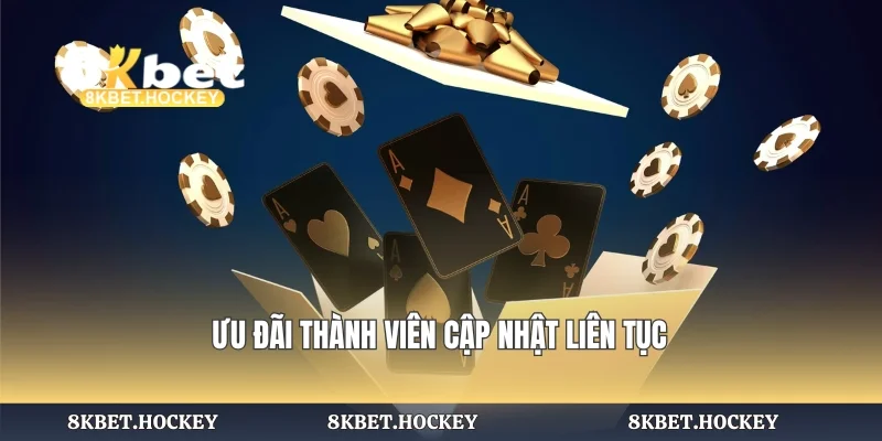 Ưu đãi thành viên cập nhật liên tục
